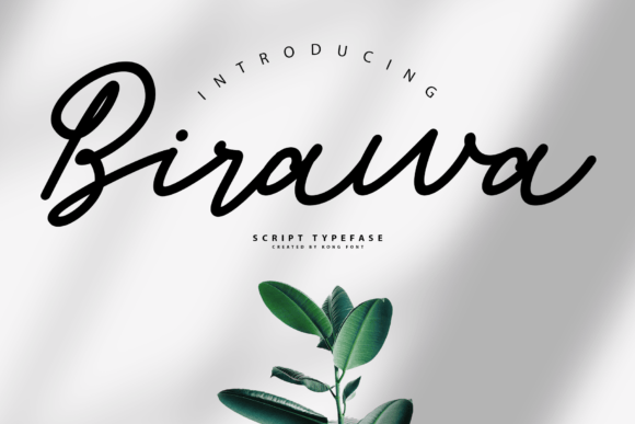 Birawa Font: Adding Playful Elegance to Your Creative Projects