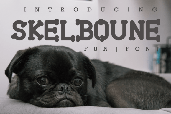 Discover Skelboune: The Playful Serif Font Elevating Modern Creative Projects